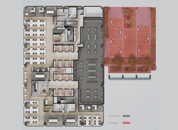 Piso 6